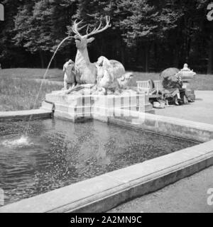 Brunnen mit Hirschskulptur im Park vom Schloss Schwetzingen, Deutschland 1930er Jahre. Brunnen mit Rotwild Skulptur in den Gärten von Schloss Schwetzingen, Deutschland 1930. Stockfoto