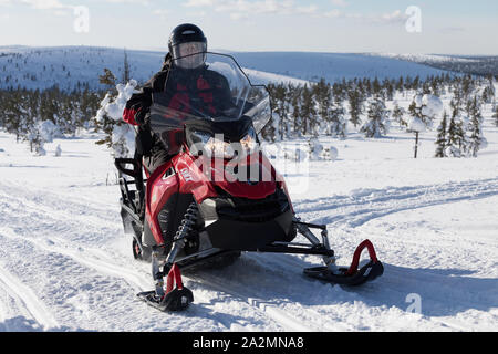 Woman-driving Snowmobile mitten im Wald von Krone Schnee - last Bäume im arktischen Winter wonderland Lappland Stockfoto