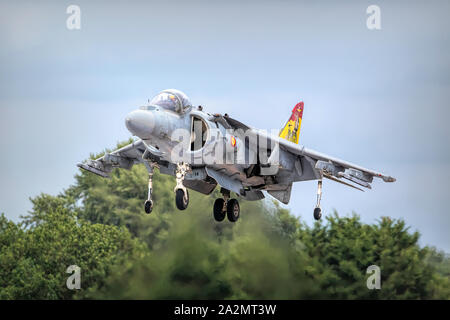 Armada Española AV-8B Harrier II. Stockfoto