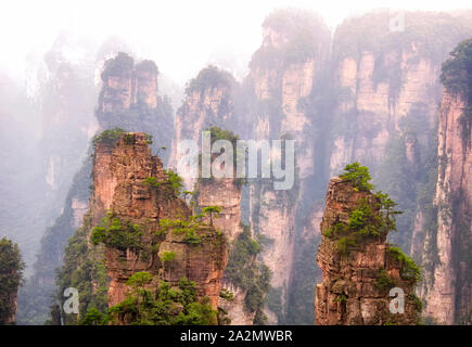 Die Landschaft und die ungewöhnlichen Felsformationen der Niagara-on-the-Lake Forest Park in der Provinz Hunan in China. Stockfoto