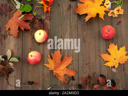 Äpfel, Beeren, Blätter und Blüten auf einem hölzernen Hintergrund. Stockfoto