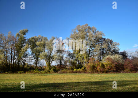 Herbst Landschaft mit einer Reihe von verschiedenen Bäumen und Wiese vor. Oberhausen-Rheinhausen, Baden-Württemberg, Deutschland. Stockfoto