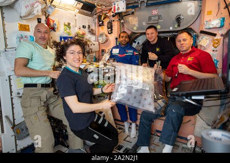 Iss Expedition 60 Crew Mitglieder sammeln in der innerhalb der Einheit Modul für eine Mahlzeit zusammen September 26, 2019 in der Erdumlaufbahn. Im Bild von links sind, Astronauten Luca Parmitano der ESA, und Christina Koch der NASA, raumflugteilnehmer und die Vereinigten Arabischen Emirate astronaut Hazzaa Ali Almansoori und NASA-Astronauten Andrew Morgan und Nick Haag. Stockfoto