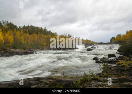 Målselva in Nordnorwegen Stockfoto