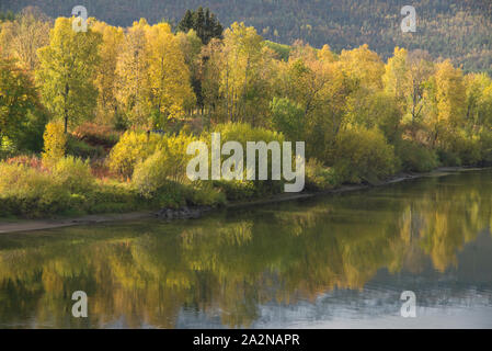 Herbstfarben in Norwegen, Troms County Stockfoto