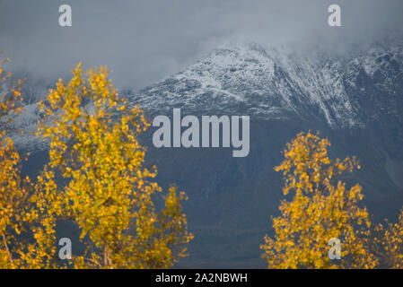 Herbstfarben in Norwegen, Troms County Stockfoto