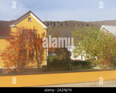 Die kleine Stadt Isafjordur verfügt über hell eingerichtete Gebäude im Gegensatz zu den vulkanischen, bergige Landschaft der Region Westfjorde Islands farbige Stockfoto