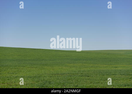 Schönen Feld og Gras und Sky in Patagonien Stockfoto