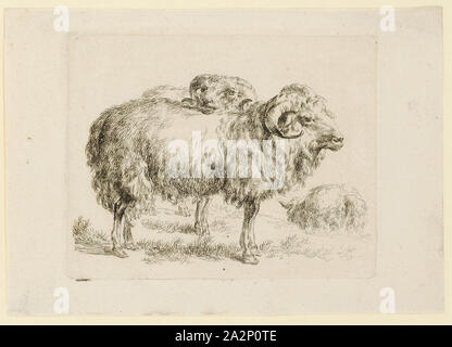 Zwei Widder, Ätzen, Blatt: 13 x 18,5 cm |, Platte: 10,3 x 13 cm, Nicht markiert, Nicolaes (Claes Pietersz.) Berchem, Haarlem 1620 - 1683 Amsterdam Stockfoto