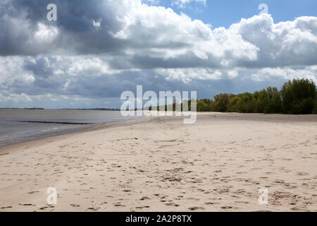 Krautsand Insel, Drochtersen, Niedersachsen, Deutschland, Europa Stockfoto