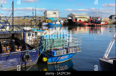 Fischerboote gebunden bei Troon Hafen, Ayrshire, Schottland, Großbritannien Stockfoto
