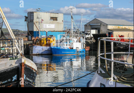 Fischerboote gebunden bei Troon Hafen, Ayrshire, Schottland, Großbritannien Stockfoto