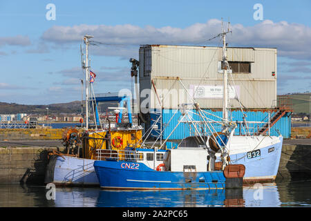 Fischerboote gebunden bei Troon Hafen, Ayrshire, Schottland, Großbritannien Stockfoto