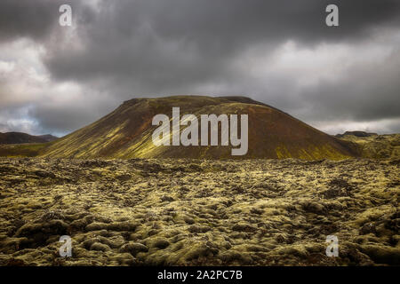 Vulkanische Landschaft auf Reykjanesfolkvangur finden in Island Stockfoto