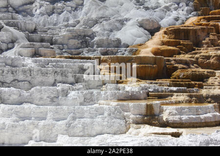 Mammoth Hot Springs in der nordwestlichen Ecke des Yellowstone National Park Travertin Palette Terrasse Berg bei Mammoth Hot Springs ist die größte Stockfoto