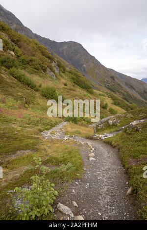 Trail bei Exit Glacier, Harding Eisfeld, Kenai Fjords National Park Seward, Alaska, United States Stockfoto