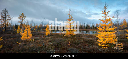 Schöne Panorama der Landschaft der See im nördlichen Wald, hohe Auflösung für Print. Stockfoto