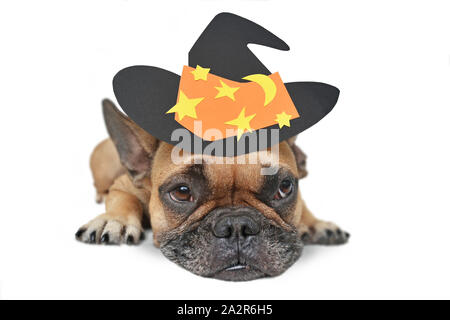 Süße Französische Bulldogge Hund mit grossen Augen, der ein schwarzes Papier Halloween Hexenhut mit Sternen liegend, auf weißem Hintergrund Stockfoto