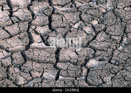 Nach einer Dürre, rissigen Boden. Ungewöhnliche Wärme, häufigen Dürren, total aridization, Wüste voran als Folge des Klimawandels, der globalen Stockfoto