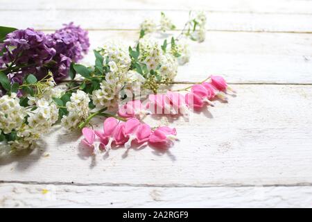 Das Bild zeigt die schöne Frühling Blumen auf Whiteboards. Stockfoto