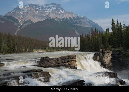 Athabasca Falls auf der oberen Athabasca River in Jasper National Park, Alberta, Kanada. Stockfoto