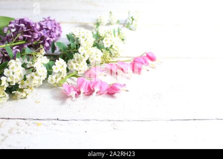 Das Bild zeigt die schöne Frühling Blumen auf Whiteboards. Stockfoto