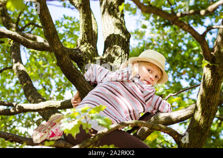 Mädchen klettern in den Tree Top Stockfoto