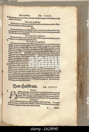 Seite von Leonhart Fuchs' neuen Kreuterbuch" 2, Illustration eines Textes Seite von Leonhart Fuchs ''New Kreuterbuch" mit dem Titel "von Halskraut' aus dem 16. Jahrhundert, S. 435, Fuchs, Leonhard, 1563, Leonhart Fuchs: New Kreuterbuch, in welchem nit allein sterben gantz Historischen, das-ist, Namen, Gestalt, die statt-Partei und die Zeit der wachsung [...] des meysten theyls der Kreuter in Teutschen Landen wachsen und Berlin [...]. Basell: Isingrin, 1563 Stockfoto