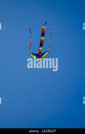 Bunte Drachen fliegen hoch in den blauen Himmel Stockfoto