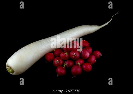 Asiatische und rote Radieschen vor einem schwarzen Hintergrund isoliert Stockfoto