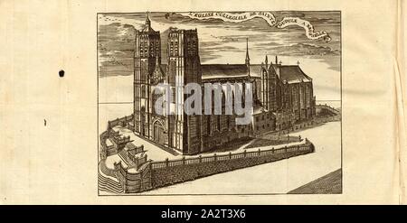 Die stiftskirche von Sainte Gudule in Brusselle, Kathedrale St. Michael und St. Gudula in Brüssel unterzeichnet: Harrewyn fecit, Taf. 5, S. 200, Harrewijn, Jacobus (fecit), [Jean-Baptiste Christyn]: Les Délices de Pays-Bas ou Beschreibung géographique et Historique des XVII Provinzen belgiques. Bd. 1, Bl. 1. Lüttich: Chez J. F. Bassompierre, Père, MDCCLXIX Stockfoto