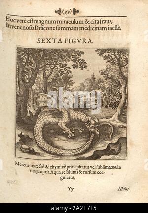 Ouroboros, Illustration von einem Drachen, Kupferstich, SEXTA FIGURA, S. 353, 1678, Johann Friedrich Helvetius: Musaeum hermeticum reformatum et amplificatum [...]. [Frankfurt]: [Sande], [1677 Stockfoto