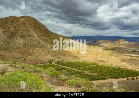 Bananenplantagen an der Südküste von Teneriffa. Die kleinen Dörfer leben vom Tourismus und der Landwirtschaft. Im Hintergrund - kleine Dörfer unter alten Stockfoto