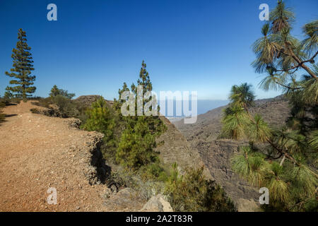 Luftaufnahme der Hölle Schlucht Barranco del Infierno ist eine Schlucht in der Nähe von Adeje im Süden von Teneriffa entfernt. Dünne Wolken am Horizont, coas Stockfoto