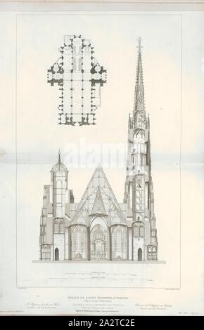 Kirche St. Stephan, Wien. Plan und Querschnitt, Grundriss und Querschnitt der Stephansdom in Wien, unterzeichnet: J. Jourdan del, Bury et Huguet sculp, Pl., 46, Jourdan, Jean Marie (Del.); Bury, Jean Baptiste Marie (sc.); Huguet (sc.), 1853, Jules Gailhabaud: Denkmäler anciens et modernes: Sammlung Formant une histoire de l'architecture des différents peuples à toutes les Epochen. Paris: Librairie de Firmin Didot Freres, 1853 Stockfoto