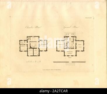 Villa 1, Grundrisse einer Villa, PL. XXIX, S. 31, Robert Lugar: architektonische Skizzen für Hütten, ländliche wohnungen und Villen, im Griechischen, Gothic und fancy styles: mit Plänen; geeignet für Personen vornehmer Leben und moderaten Vermögen.: Durch einige Beobachtungen auf Landschaft und Eigenart für die malerischen Gebäude voraus. London: gedruckt für J. Taylor, an der Architectural Library, 1823 Stockfoto