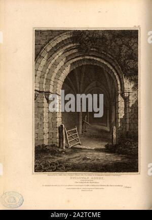 Buildwas Abbey, Shropshire Blick in das Kapitel, Kapitel Haus in Buildwas Abbey in Shropshire suchen, unterzeichnet: von Jos eingraviert., Skelton, aus einer Zeichnung von Edmund Aikin; durch Longman & Co, Bild veröffentlicht. 20, PL. III, nach S. 74, Aikin, Edmund (Zeichnung); Skelton, Joseph John (Gravur); Longman & Co (veröffentlicht), 1813, John Britton: Die architektonischen Antiquitäten von Großbritannien: vertreten und in einer Reihe von Ansichten, Ansichten, Pläne, Schnitte und Details der verschiedenen alten englischen Bauten veranschaulicht: mit historischen und beschreibende Konten der einzelnen. Bd. 1, Bl. 4. London: Taylor, 1807 - J. Stockfoto