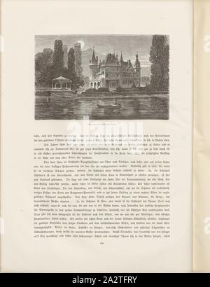 Schloss Schadau in der Nähe von Thun, Blick auf das Schloss Schadau in der Nähe von Thun aus dem 19. Jahrhundert, unterzeichnet: J. Z, Abb. 206, S. 240, Zügel, Joh., Woldemar Kaden: Das schweizerland: eine Sommerfahrt durch Gebirg und Thal. Stuttgart: Engelhorn, 1875 Stockfoto