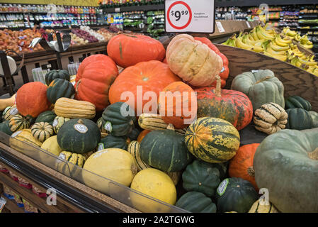 Herbst Kürbisse Kürbisse und zum Verkauf in einem Supermarkt. Stockfoto