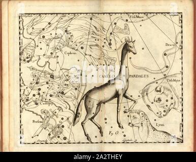 Pardalus Kamel, Karte von dem Sternbild Giraffe, Abb. 18, Abb. O, S. 21, Johannes Hevelius, Johann Ernst-von-Schmieden: Johannis Hevelii prodromus fundamenta astronomiae, exhibens, quae Tam ad Novum planè & correctiorem stellarum fixarum construendeum, ad catalogum quàm onmium planetarum tabulas corrigendas omnimodè spectant; nec nicht Novas & correctiores tabulas Solares, aliasque plurimas astronomiam pertinentes ad [...]. Gedani: Typis Johannis-Zachariae Stollii, 1690 Stockfoto