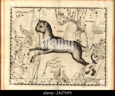 Luchs, Karte von dem Sternbild Lynx, Abb. 27, Abb. Y, auf S. 21, Johannes Hevelius, Johann Ernst-von-Schmieden: Johannis Hevelii prodromus fundamenta astronomiae, exhibens, quae Tam ad Novum planè & correctiorem stellarum fixarum construendeum, ad catalogum quàm onmium planetarum tabulas corrigendas omnimodè spectant; nec nicht Novas & correctiores tabulas Solares, aliasque plurimas astronomiam pertinentes ad [...]. Gedani: Typis Johannis-Zachariae Stollii, 1690 Stockfoto