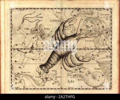 Krebs, Karte von dem Sternbild Krebs, Abb. 33, Abb. EE, S. 21, Johannes Hevelius, Johann Ernst-von-Schmieden: Johannis Hevelii prodromus fundamenta astronomiae, exhibens, quae Tam ad Novum planè & correctiorem stellarum fixarum construendeum, ad catalogum quàm onmium planetarum tabulas corrigendas omnimodè spectant; nec nicht Novas & correctiores tabulas Solares, aliasque plurimas astronomiam pertinentes ad [...]. Gedani: Typis Johannis-Zachariae Stollii, 1690 Stockfoto