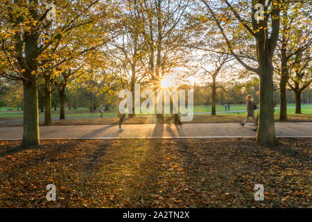 Herbstspaziergang im Greenwich Park Stockfoto