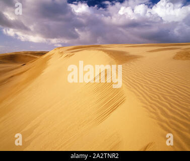 Neuseeland. 90 Mile Beach. Sanddüne. Stockfoto