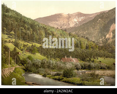 Reichenau, in Richtung Rexalp (d. h., raxalpe), Niederösterreich, Österreich-ungarn; Drucken. 17338.; Titel von den Detroit Publishing Co., Katalog J - Ausland abschnitt, Detroit, Mich.: Detroit Publishing Company, 1905.; Teil: Ansichten der österreichisch-ungarischen Monarchie in der Photochrom print Collection.; Stockfoto