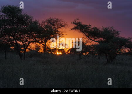 Camping Übernachtung in Zelten in der Savanne der Serengeti Camp während der Safari Expedition. Sonnenuntergang mit atemberaubenden Farben Stockfoto