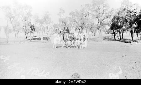 Negative - Dooen North, Victoria, vor 1930, zwei Jungen reiten Rinder mit einem Mädchen auf dem Pferderücken Stockfoto