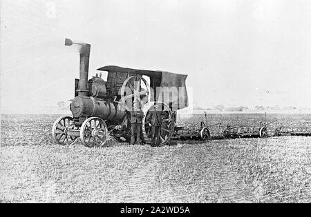 Negative - Dampf Pflügen mit Traktion Motor ziehen drei Pflüge, Werribee, Victoria, 1910, Lokomobile (Aveling & Porter?) Drei ziehen Pflüge. Es gibt zwei Männer stehen vor dem Motor, Sie tragen Hüte, Hosen und Jacken. Es gibt viele Bäume in der Ferne Stockfoto