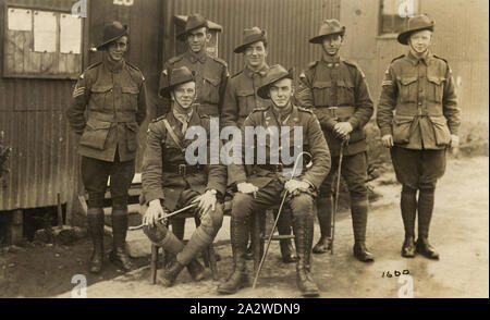 Fotografie - australischen Soldaten, 24 Bataillon, Weltkrieg, 1914-1918, Gruppe Portrait von australischen Soldaten, Offiziere, Unteroffiziere und anderen Ränge vom 24 Bataillon, Weltkrieg wahrscheinlich in Frankreich genommen worden zu sein Stockfoto