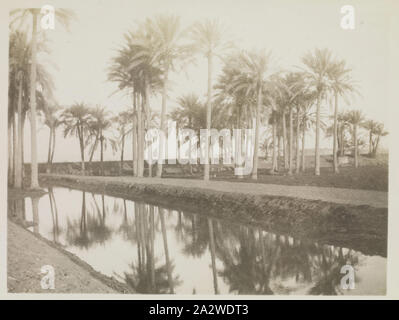 Fotografie - Bedrashen Canal, Ägypten, Kapitän Edward Albert McKenna, der Erste Weltkrieg, 1914-1915, einer der 108 Bilder in einem Album vom Ersten Weltkrieg wahrscheinlich durch Kapitän Edward Albert McKenna genommen worden zu sein. Das Album enthält Fotos der 7 Bataillon in Ägypten. Bild von einem Kanal in der Nähe von Bedrashen. Nach der Inschrift dieses Bild wurde auf der Reise Kapitäne McCrae, McKenna und Mason und Leutnants Chapman, De Ravin und Scanlan zu den akara nahm genommen Stockfoto